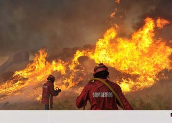 bombeiros