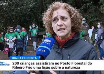 Níveis de precipitação na Madeira estão abaixo do esperado