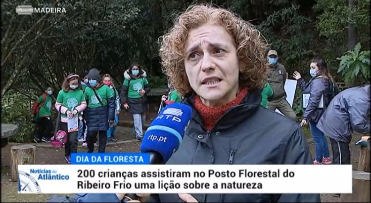 Níveis de precipitação na Madeira estão abaixo do esperado