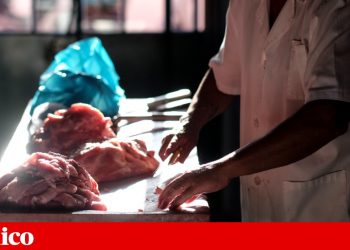 carne