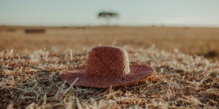 Chuva Alentejo