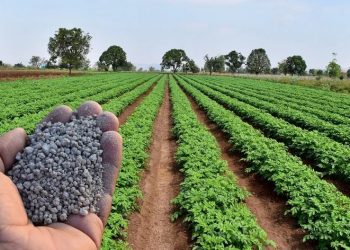 fertilizantes