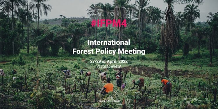 International Forest Policy Meeting