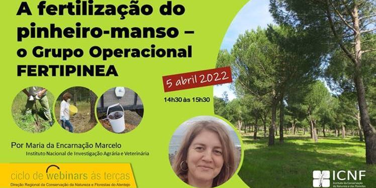 Webinar "A fertilização do pinheiro-manso: o Grupo Operacional FERTIPINEA"