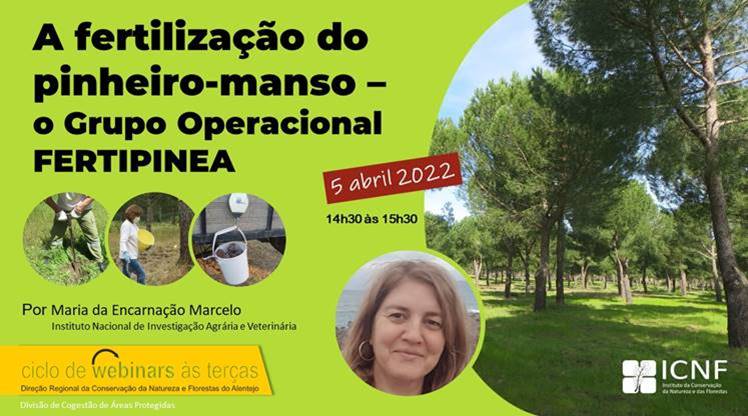 Webinar "A fertilização do pinheiro-manso: o Grupo Operacional FERTIPINEA"