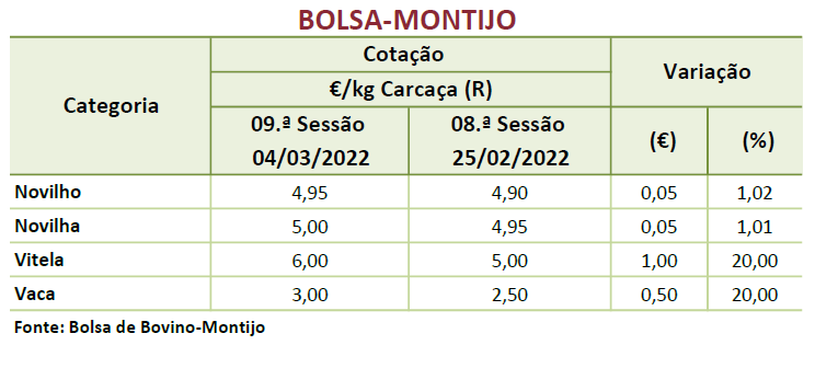 Cotações Bovinos