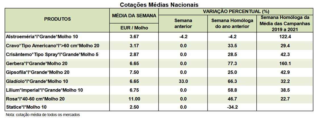 Cotações Flores e Folhagens