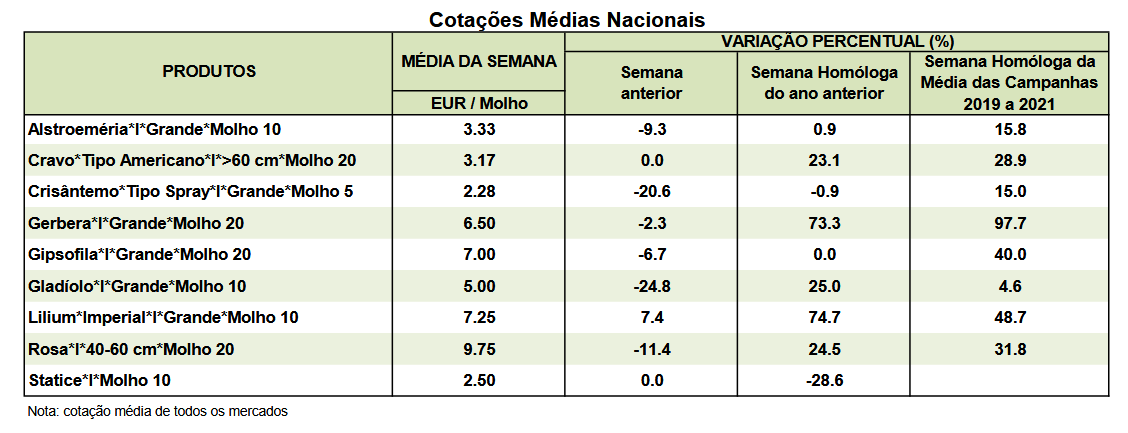 Cotações Flores e Folhagens