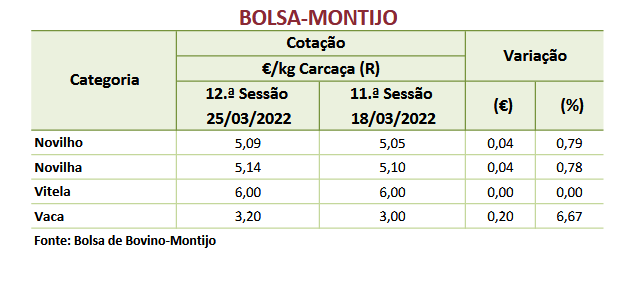 Cotações Bovinos