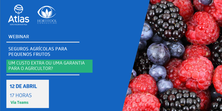 Seguros agrícolas em pequenos frutos: um custo extra ou uma garantia para o agricultor ?