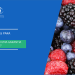 Seguros agrícolas em pequenos frutos: um custo extra ou uma garantia para o agricultor ?