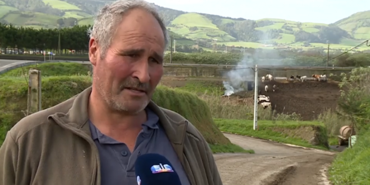 Produtor de leite Açores