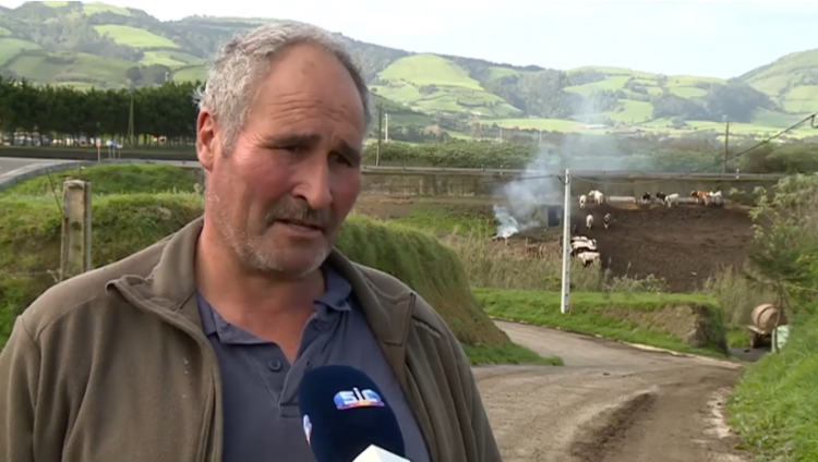 Produtor de leite Açores