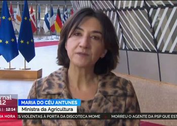 Maria do Céu Antunes