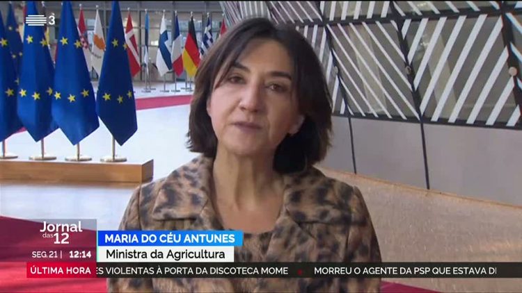 Maria do Céu Antunes