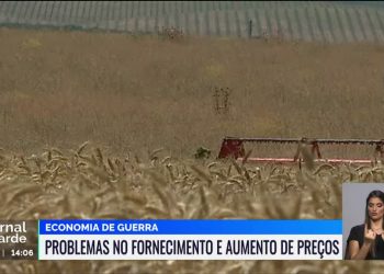 fornecimento alimentar