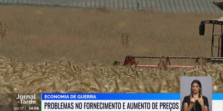 fornecimento alimentar