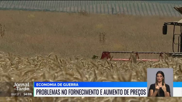 fornecimento alimentar