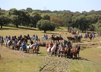 Romaria a cavalo