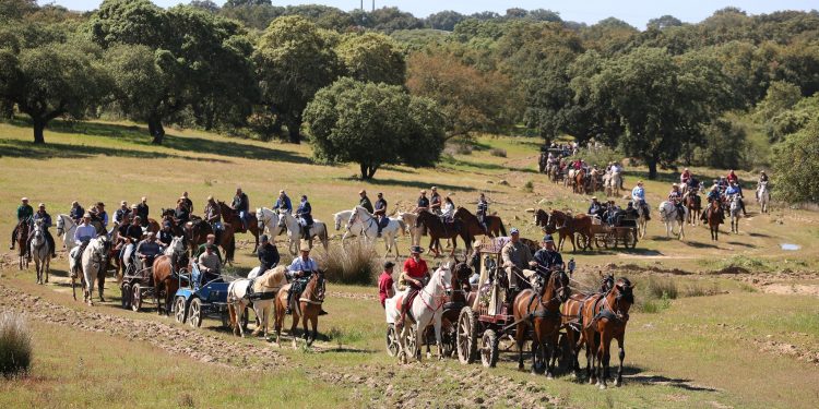 Romaria a cavalo