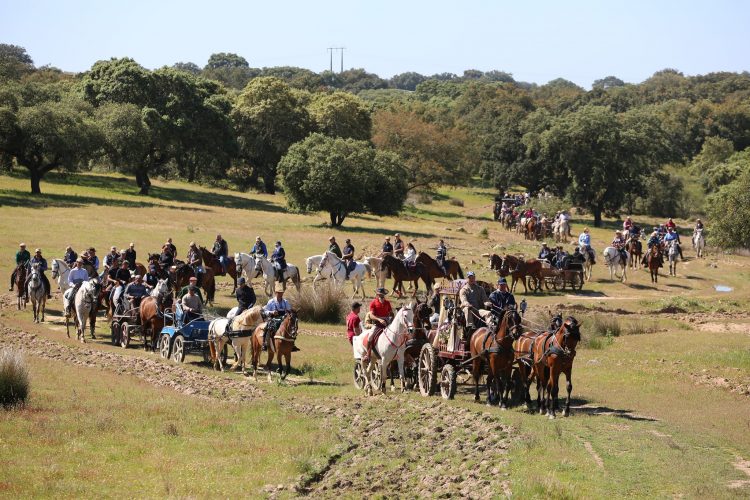 Romaria a cavalo