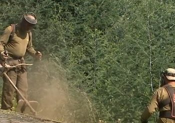 sapadores