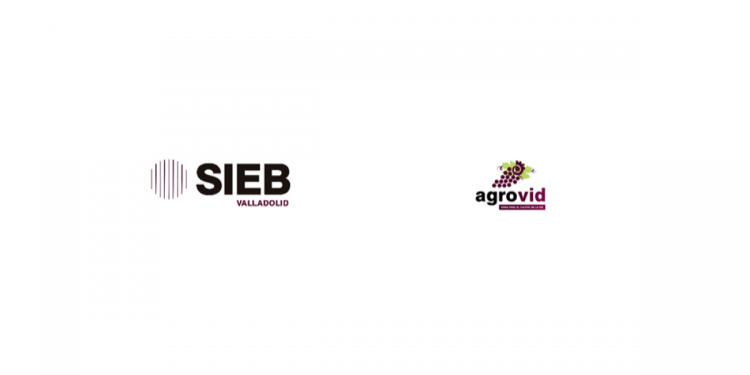 sieb agrovid