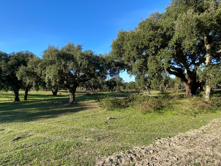 Herdade Palmela