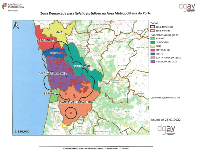 Zona Demarcada Xylella - Zona do Porto