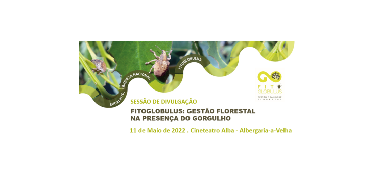 FITOGLOBULUS: Gestão Florestal na Presença do Gorgulho