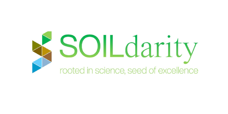 Soildarity