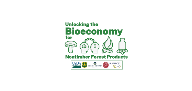Webinar IUFRO: Uso de produtos florestais não lenhosos em sistemas agroflorestais