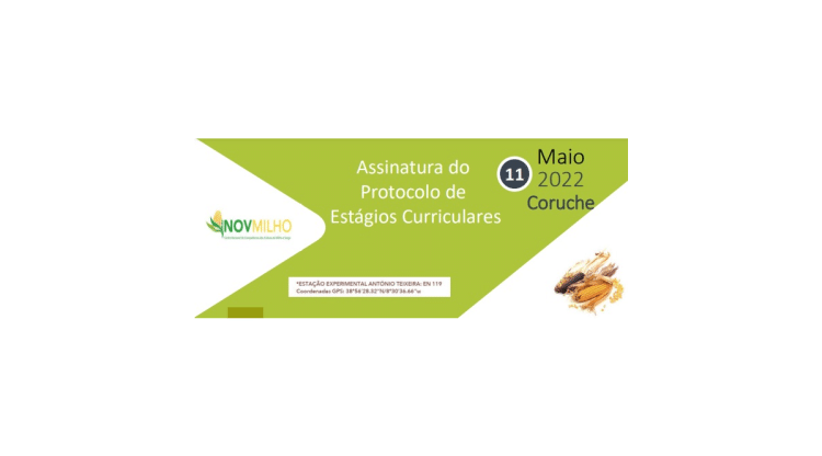 Assinatura protocolos estagios curriculares