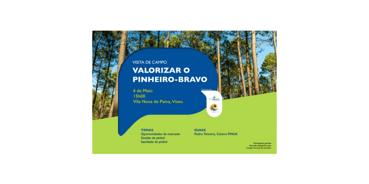 Valorizar Pinheiro Bravo