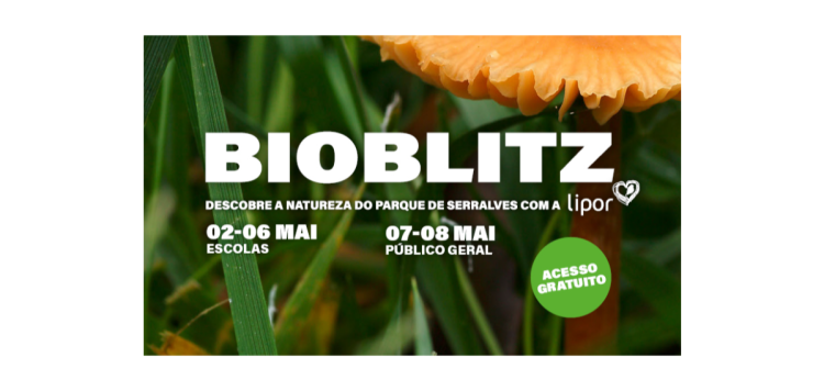 BioBlitz Serralves