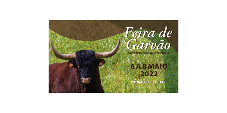 Feira de Garvão