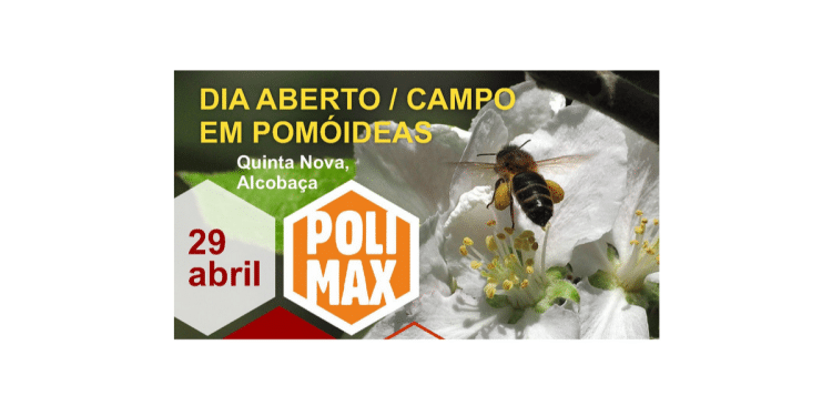 Dia aberto polimax
