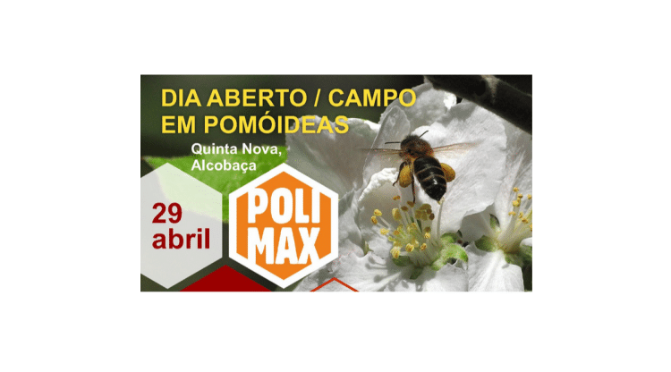 Dia aberto polimax
