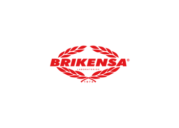 Brikensa Logo