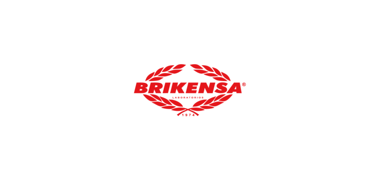 Brikensa Logo