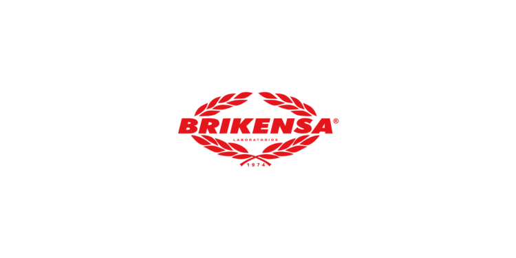 Brikensa Logo