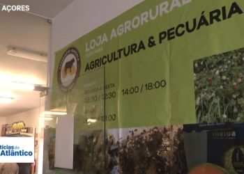 Açores e Cabo Verde cooperam
