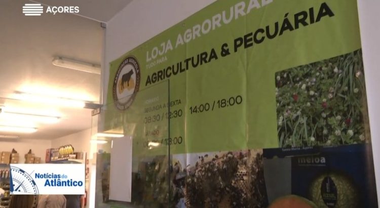 Açores e Cabo Verde cooperam