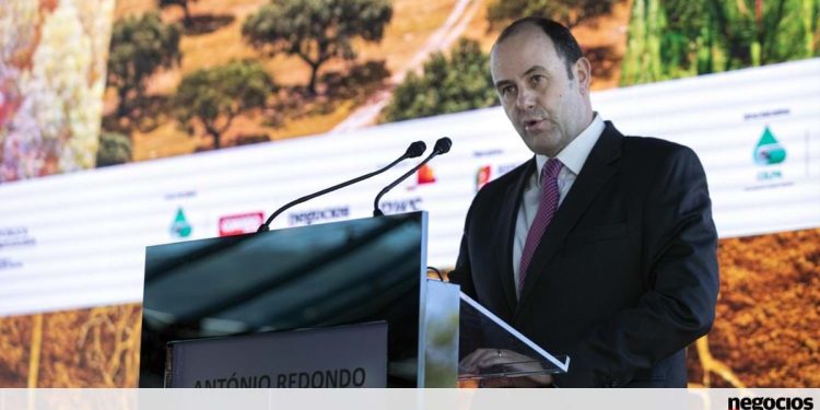 António Redondo: “Floresta é sustentabilidade”