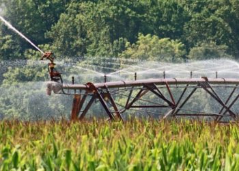 CNA diz que é necessário "estabelecer limites para a utilização da terra" em culturas intensivas