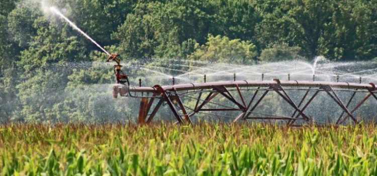 CNA diz que é necessário "estabelecer limites para a utilização da terra" em culturas intensivas