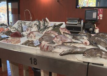 Carne e peixe estão mais caros mas margens de lucro são mínimas, dizem comerciantes