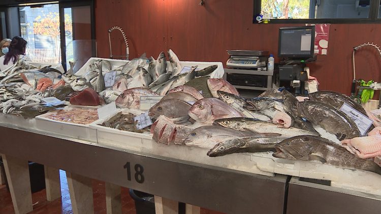 Carne e peixe estão mais caros mas margens de lucro são mínimas, dizem comerciantes