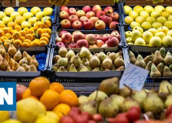 Cinco perguntas essenciais sobre sistemas alimentares resilientes e sustentáveis
