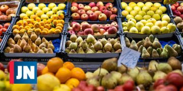 Cinco perguntas essenciais sobre sistemas alimentares resilientes e sustentáveis